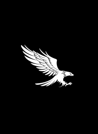 White eagle soaring against a black background. Powerful symbol for the team.